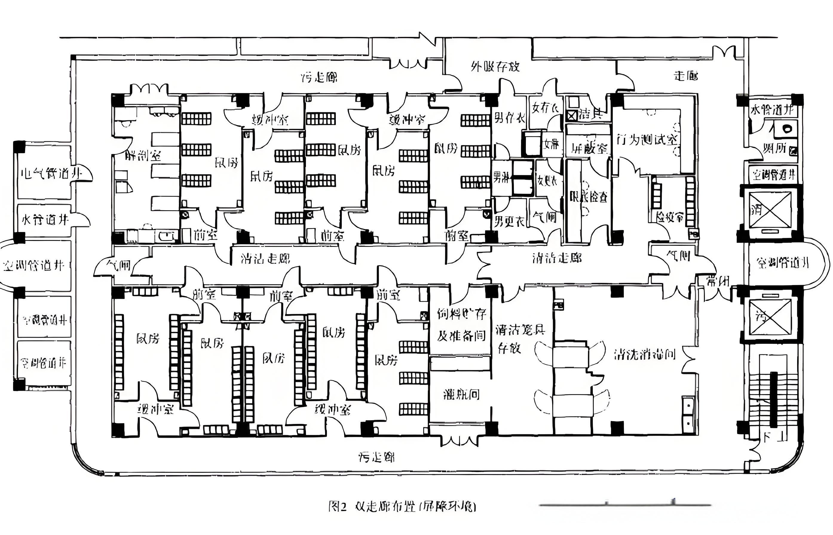 SPF實(shí)驗(yàn)室功能區(qū)布局示意圖 SPF實(shí)驗(yàn)室功能區(qū)布局示意圖